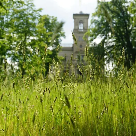 Apartment Zschachwitz - ruhige Lage, modern, gute Anbindung Apartment