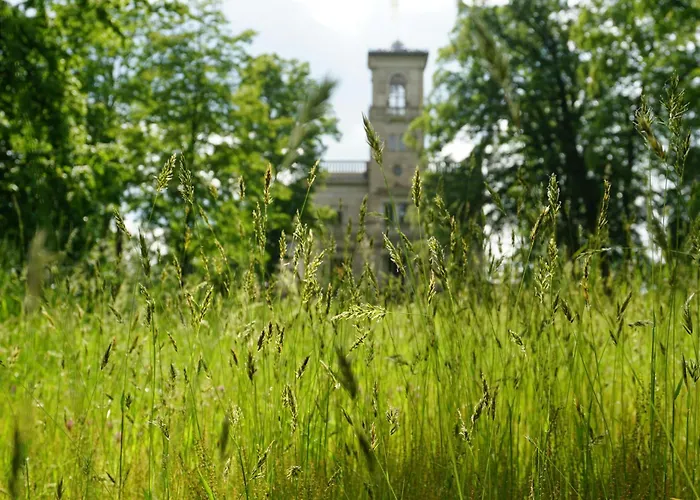 Zschachwitz In - Ruhige Lage, Modern, Gute Anbindung! Daire