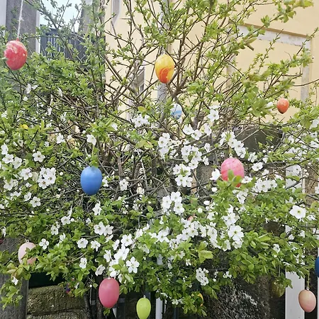 Zschachwitz In - Ruhige Lage, Modern, Gute Anbindung! Appartement *