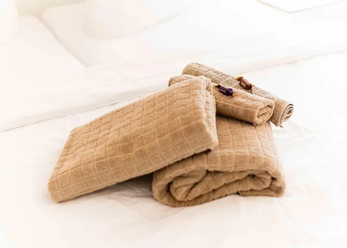 Zschachwitz In - Ruhige Lage, Modern, Gute Anbindung! Appartement