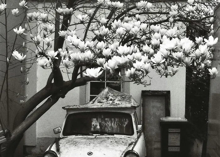 Zschachwitz In - Ruhige Lage, Modern, Gute Anbindung! Appartement