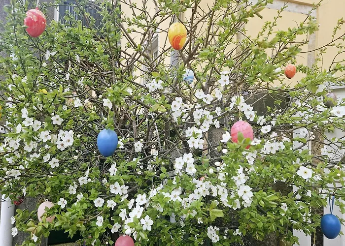 Zschachwitz In - Ruhige Lage, Modern, Gute Anbindung! Appartement *